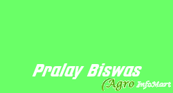 Pralay Biswas