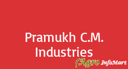 Pramukh C.M. Industries patan india