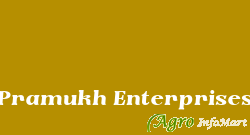 Pramukh Enterprises
