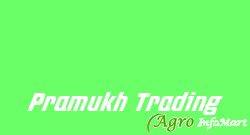 Pramukh Trading