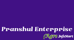 Pranshul Enterprise