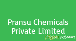 Pransu Chemicals Private Limited