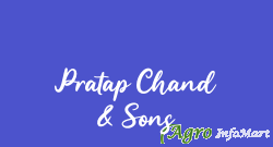 Pratap Chand & Sons