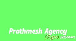 Prathmesh Agency