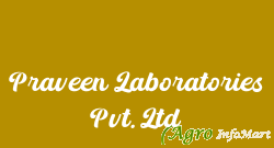 Praveen Laboratories Pvt. Ltd surat india