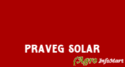 Praveg Solar surat india