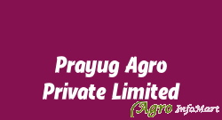 Prayug Agro Private Limited