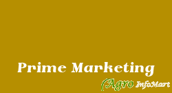 Prime Marketing ahmedabad india
