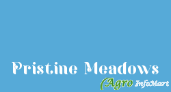 Pristine Meadows