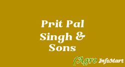 Prit Pal Singh & Sons jalandhar india