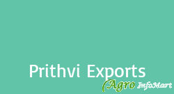 Prithvi Exports