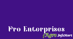 Pro Enterprises