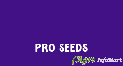 Pro Seeds karnal india