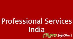 Professional Services India