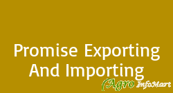 Promise Exporting And Importing