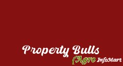 Property Bulls hyderabad india