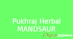 Pukhraj Herbal MANDSAUR