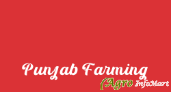 Punjab Farming