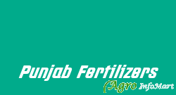 Punjab Fertilizers