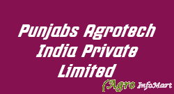 Punjabs Agrotech India Private Limited