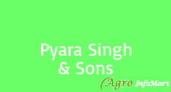 Pyara Singh & Sons