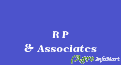 R P & Associates delhi india