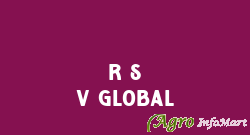 R S V Global raipur india