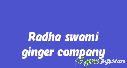Radha swami ginger company