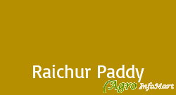 Raichur Paddy
