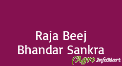 Raja Beej Bhandar Sankra raipur india