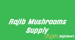 Rajib Mushrooms Supply