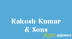 Rakesh Kumar & Sons delhi india