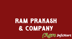 Ram Prakash & Company delhi india