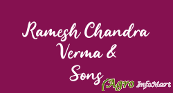 Ramesh Chandra Verma & Sons