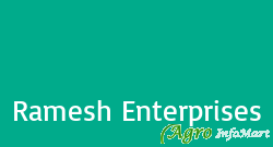 Ramesh Enterprises delhi india