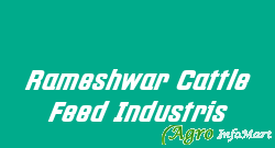 Rameshwar Cattle Feed Industris raigarh india