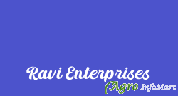 Ravi Enterprises faridabad india