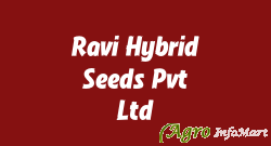 Ravi Hybrid Seeds Pvt Ltd