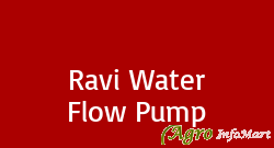 Ravi Water Flow Pump