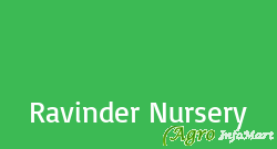 Ravinder Nursery