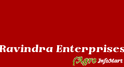 Ravindra Enterprises ambala india