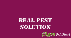 REAL PEST SOLUTION