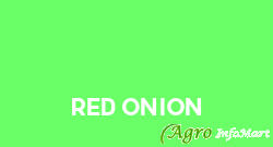 Red Onion nashik india