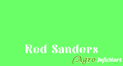 Red Sanders