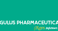 Regulus Pharmaceuticals ludhiana india