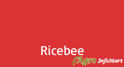 Ricebee chennai india