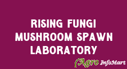 Rising Fungi Mushroom Spawn Laboratory
