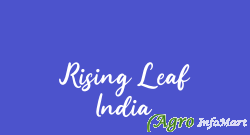 Rising Leaf India rajkot india