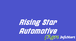Rising Star Automotive mumbai india