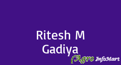 Ritesh M Gadiya